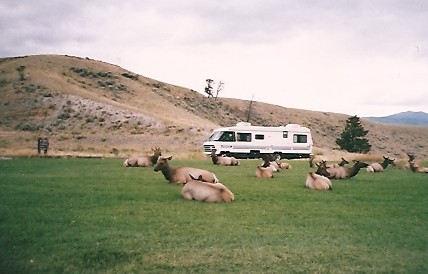 There just deer honey? Stupid motor homes with crazy gas and ferry charges.