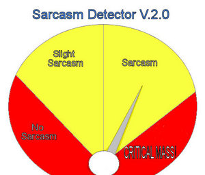 The_Sarcasm_Detector.jpg