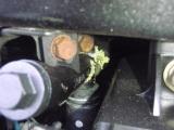 near coolant bleed screw