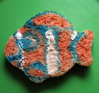 nemo-2.jpg