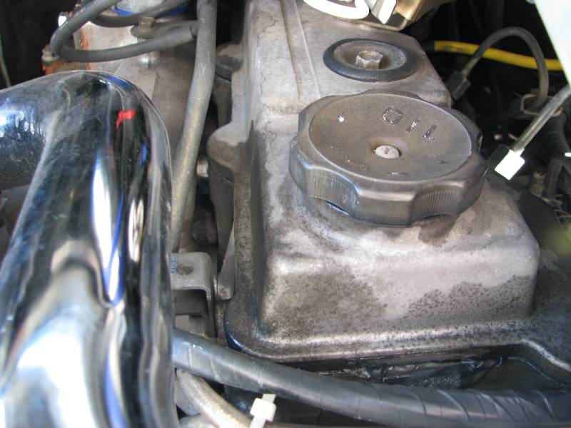 Optimized-IMG_8746.JPG
