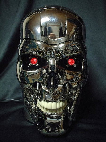 terminator is shiny.jpg