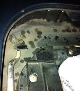 looking forward, left-hand side