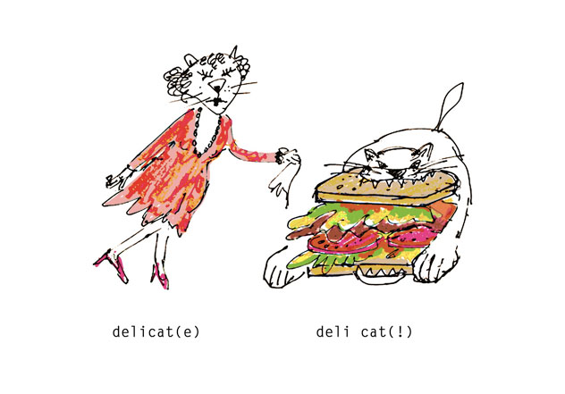 1-deli-cat.jpg