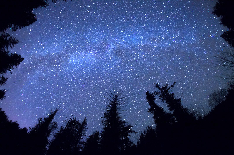 View of the Milky Way from Carmanah Valley :)