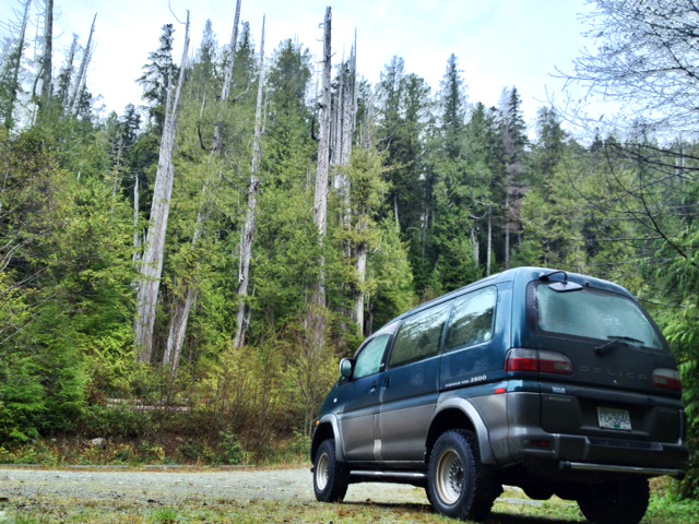 Carmanah Provincial Park! Need some mudflaps to keep the rock and mud attacks at bay.