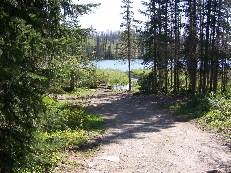 Old Gorman  mud access