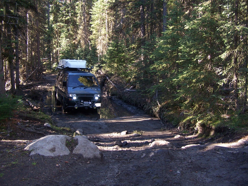 Puddle and typical rocks in the trail