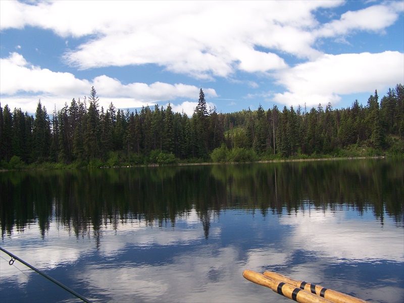 Lake view