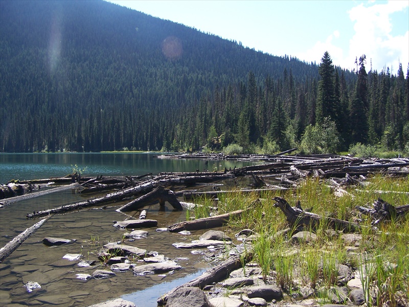 Ghost Lake shoreline