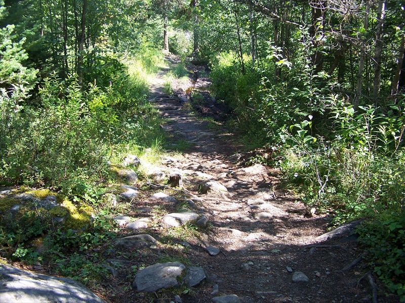 Boat Launch Road