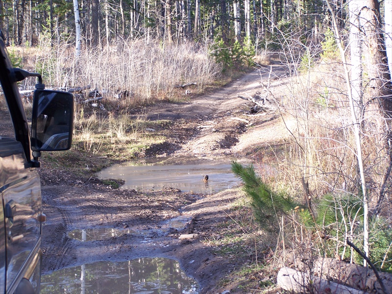 One of many BIG mud holes to avoid