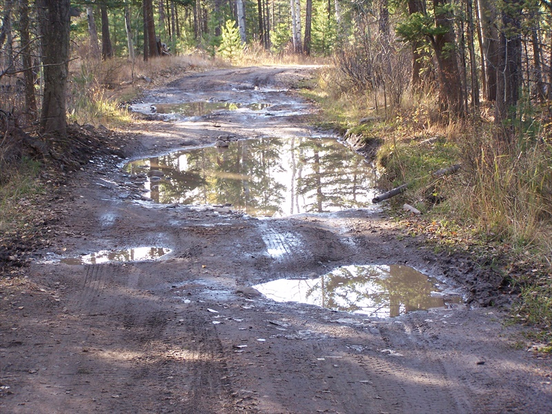 Typical of many puddles on the main road