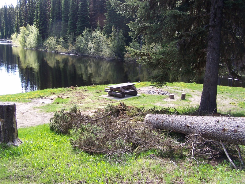 Site on the Dam - large but no trees