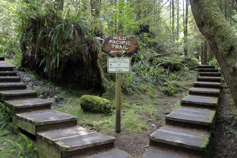 Wild Pacific Trail, Ucluelet. Vancouver Island.