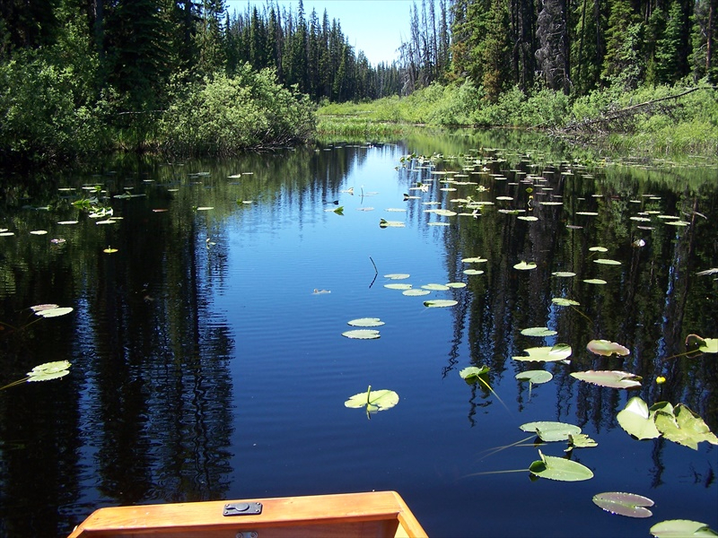 Access to Oyama Lake