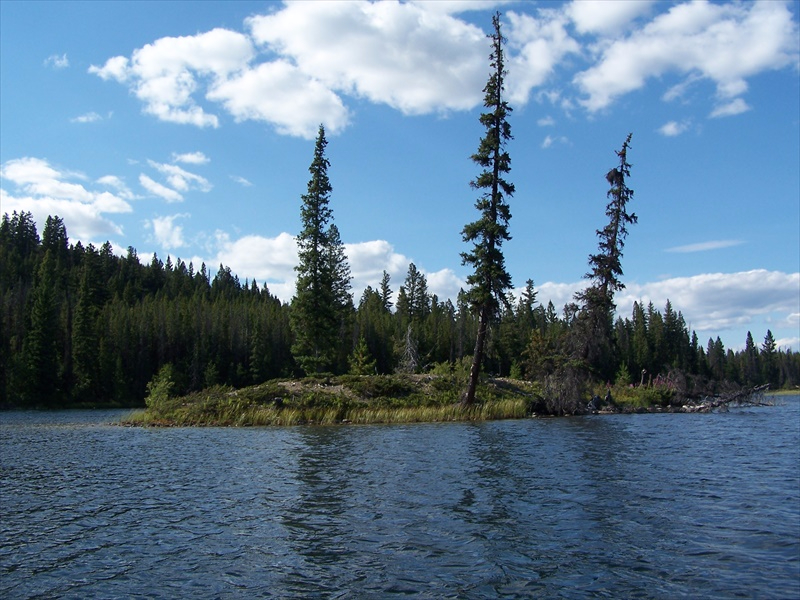 Tupper Lake Island