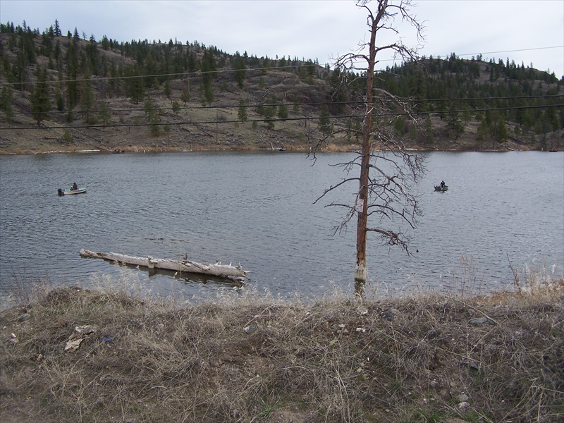 Fishing in April