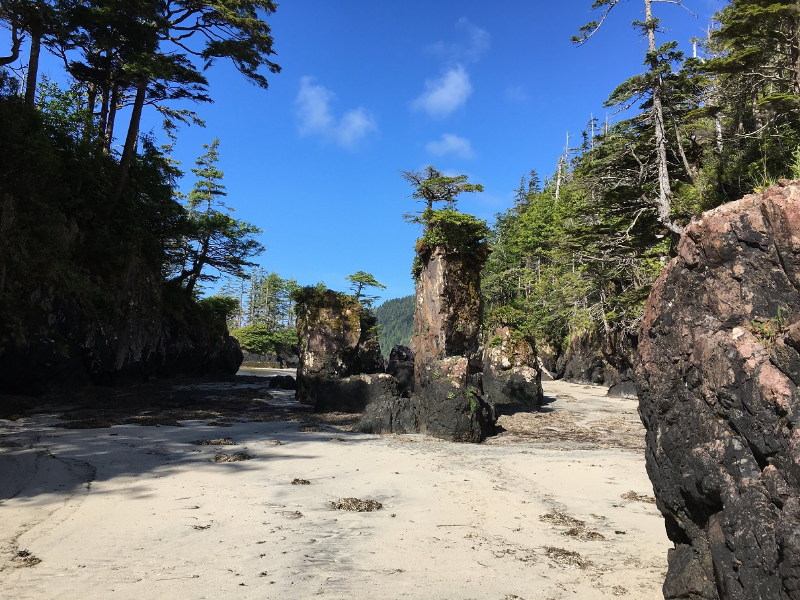 1. In BC, an amazing beach I visited this summer.