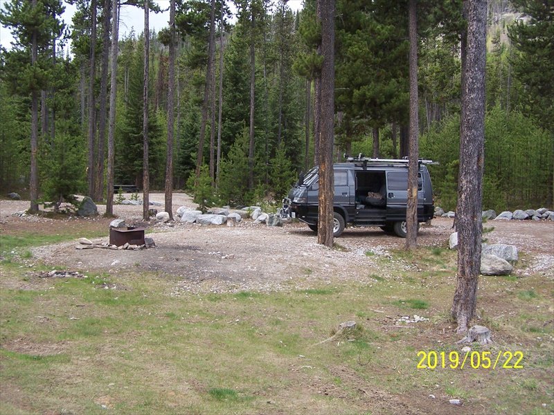 Allendale Wooded Site