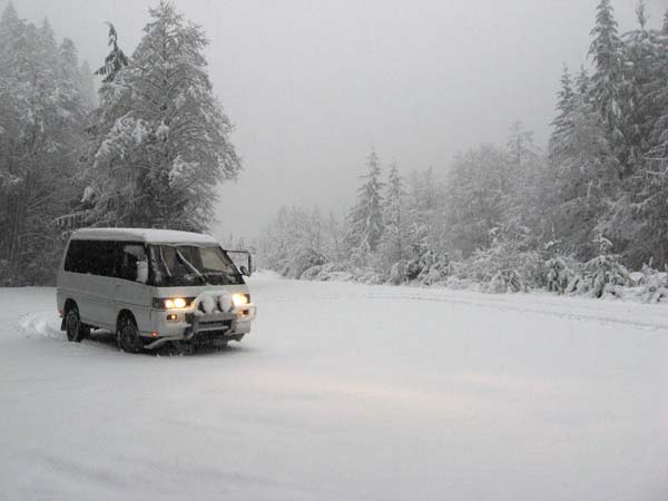 Road to Gold River BC