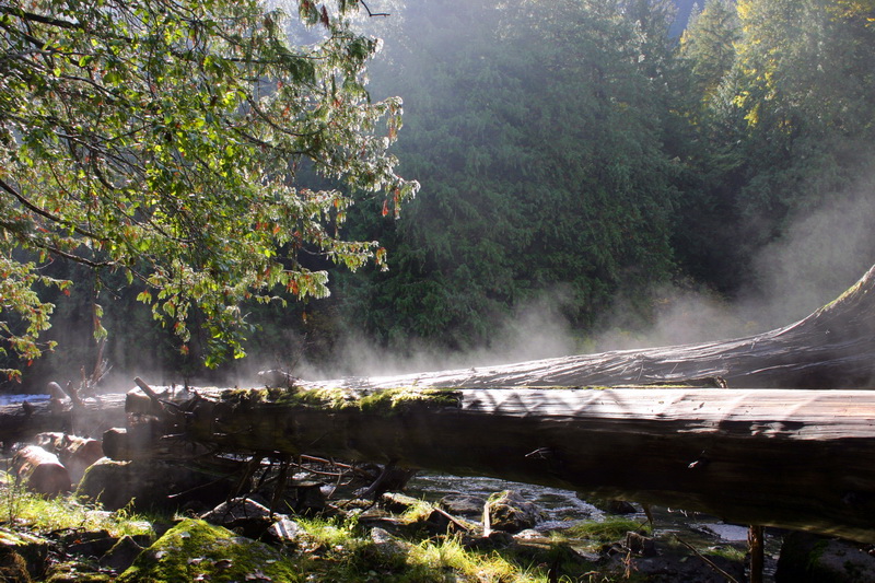 Steaming frost.