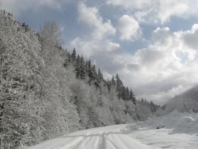 snow day2.jpg