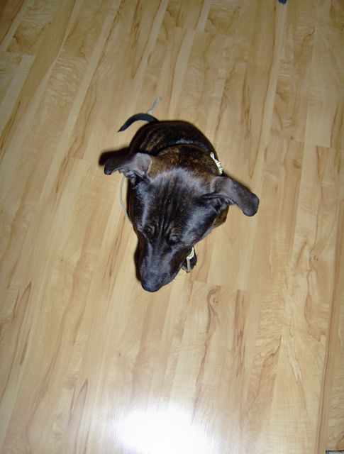 Penny3.jpg