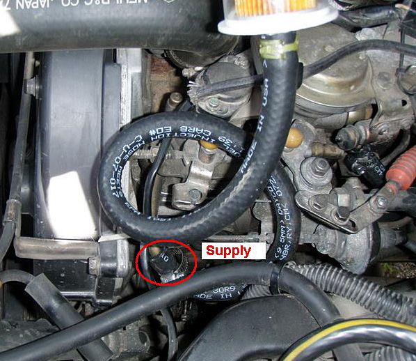 P4180419_resize.JPG
