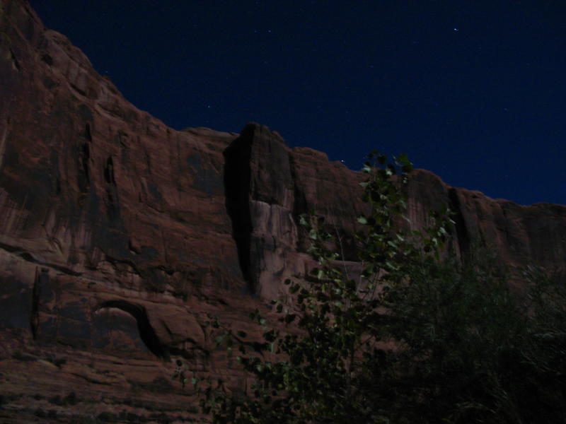IMG_0011.jpg