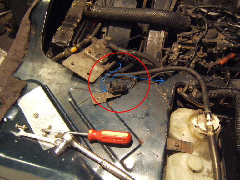 DSCF3685web.jpg