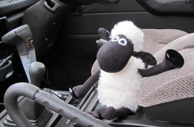 shaun_2.jpg