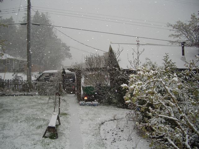 snow.jpg