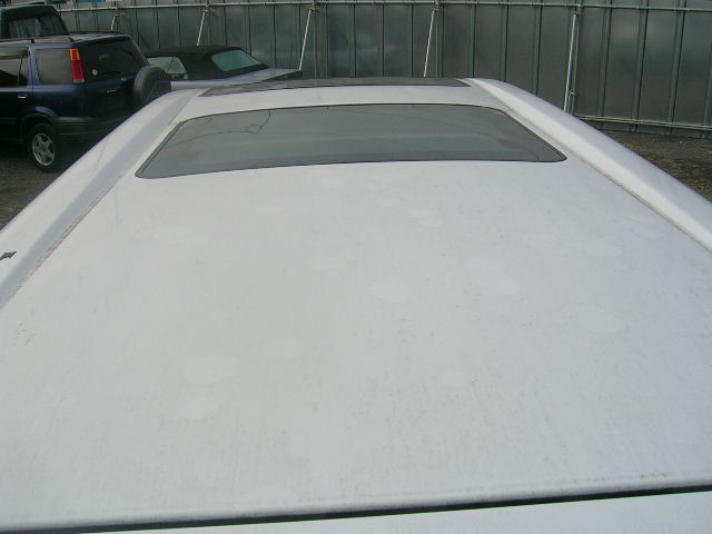 DSCN2988.JPG