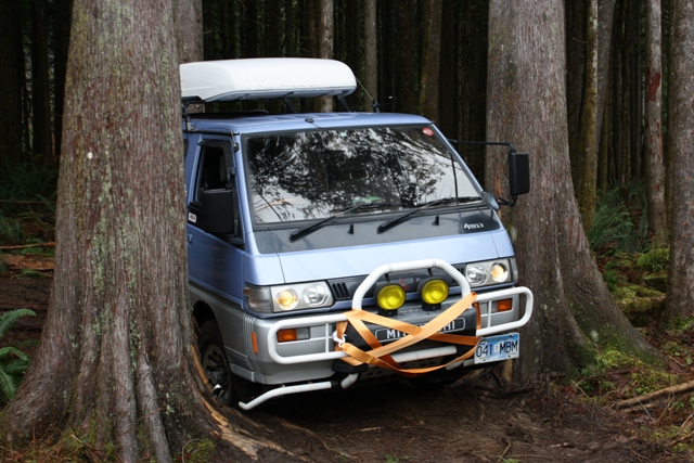 Between the trees at Stave Lake
