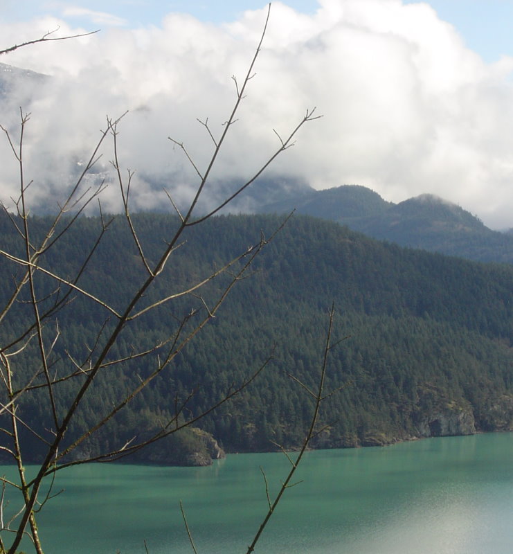 Harrisonlake.jpg