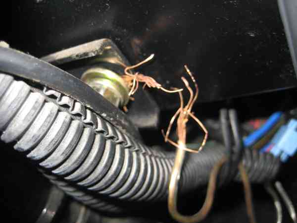 The wire that had broken off.
