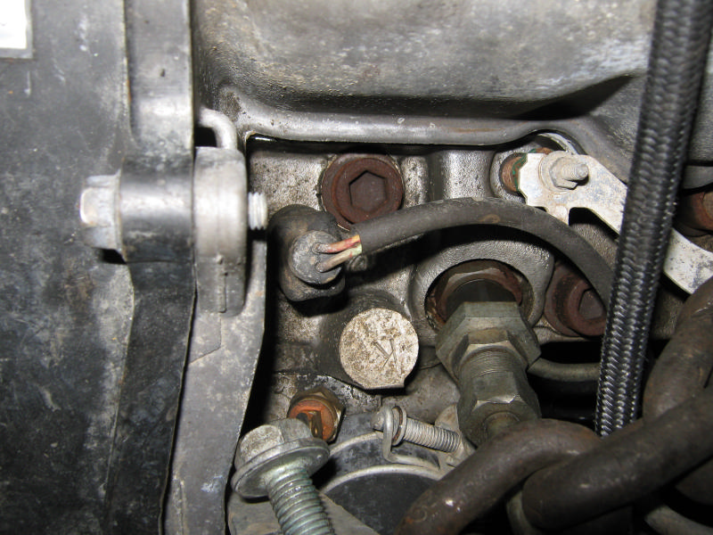 2011 025.JPG