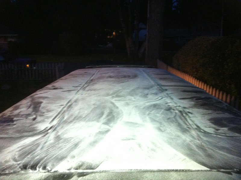 Delica roof-7.jpg