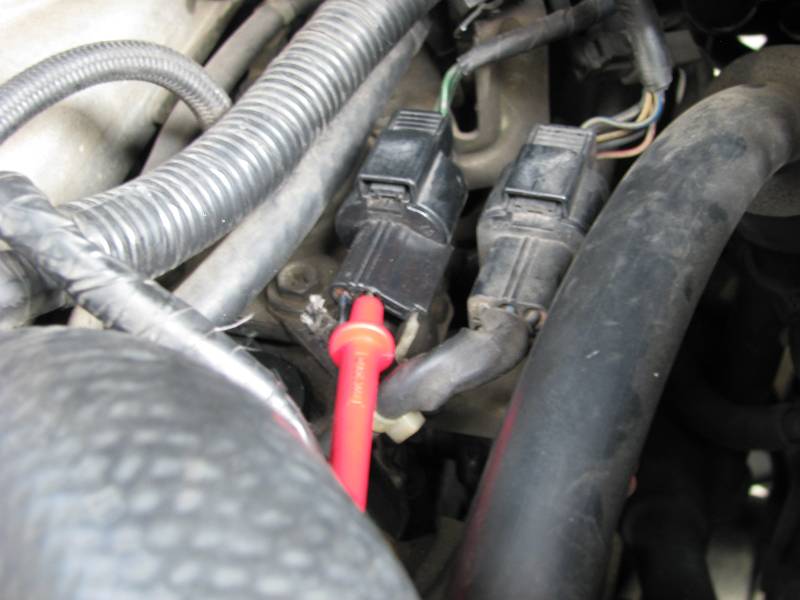 Optimized-IMG_7808.JPG
