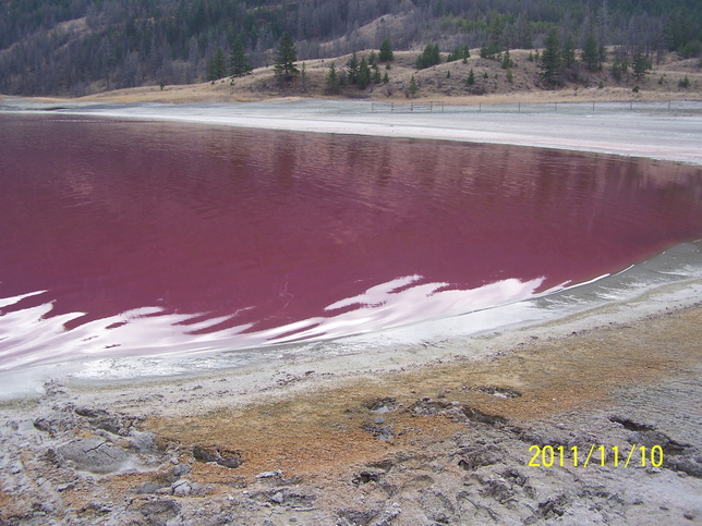 100_5548.jpg