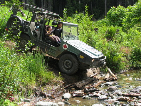 019_Island_Rally_June_2010_sized.jpg