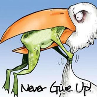 NeverGiveUp.jpg