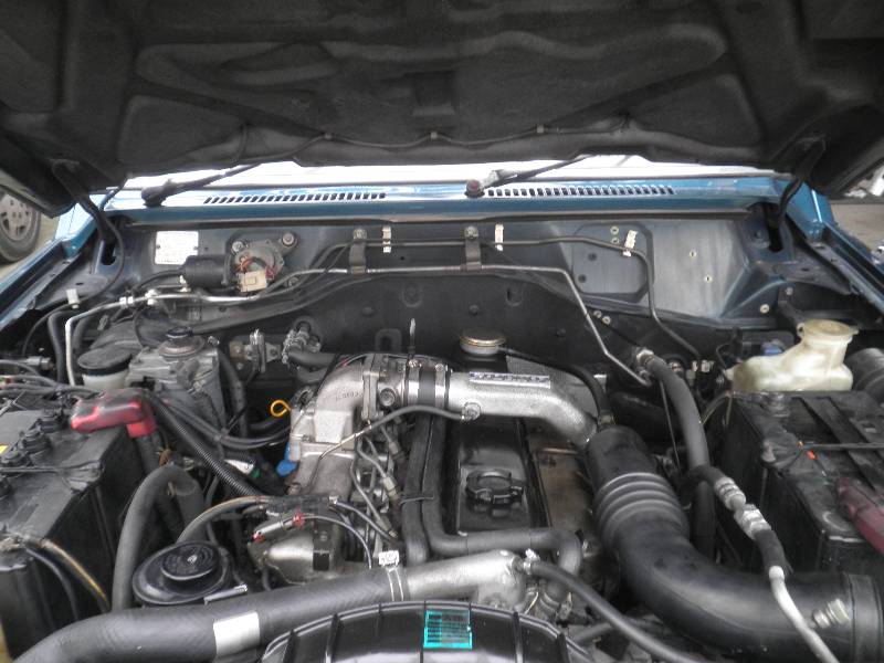 Optimized-P2200387.JPG