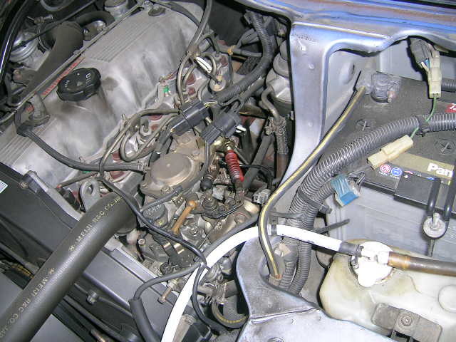 DSCN6023.JPG