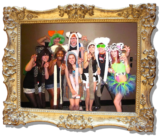 groupkittiesFRAMED.png