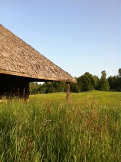 cabin 2.JPG