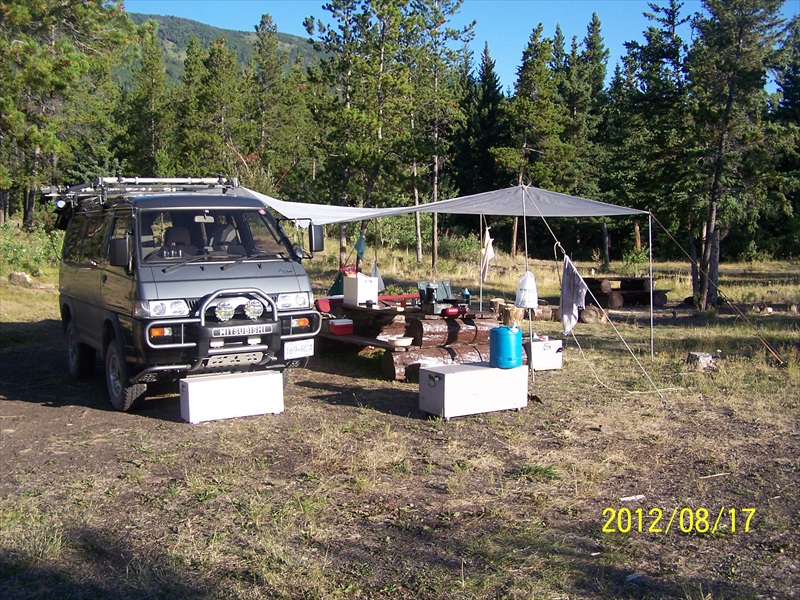 Nicely forested campsite after the Pine beetle
