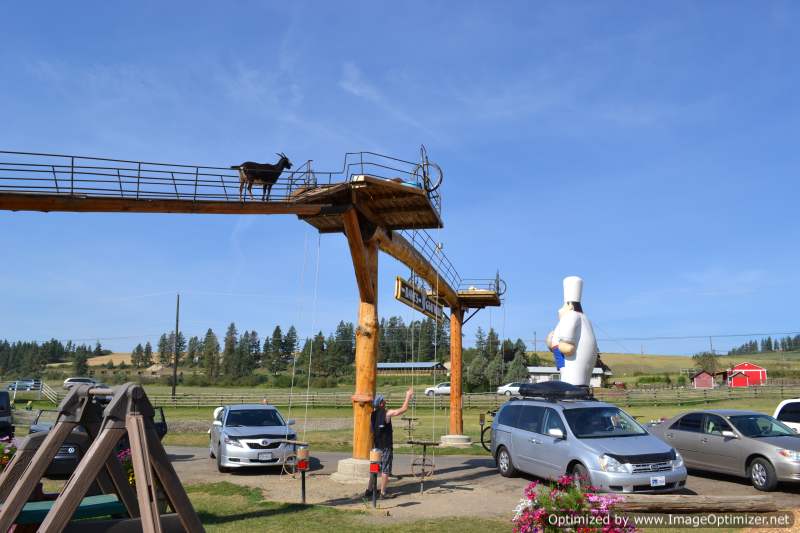 Tofino Vacation 2012 284-Optimized.JPG