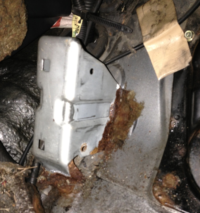 Dead Pedal rust